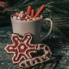 CHRISTMAS CINNAMON Fragrance Oil to craft Candles Soaps Lotions Bath products