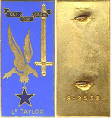 TAYLOR, LTN, EOR COET, Emaille, glatter Rücken, TAP, France Libre, Fraisse 2538 (6568)
