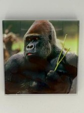 Gorilla Picture Coaster Glass – Heat Resistant & Decorative (Touchofglass)