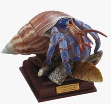 Nature Techni Colour Figure Ogasawara Terrestrial Hermit Crab Ikimon Japan 2025