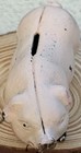 Cast Iron Standing Pink Pig Coin / Piggy Bank — photo 4
