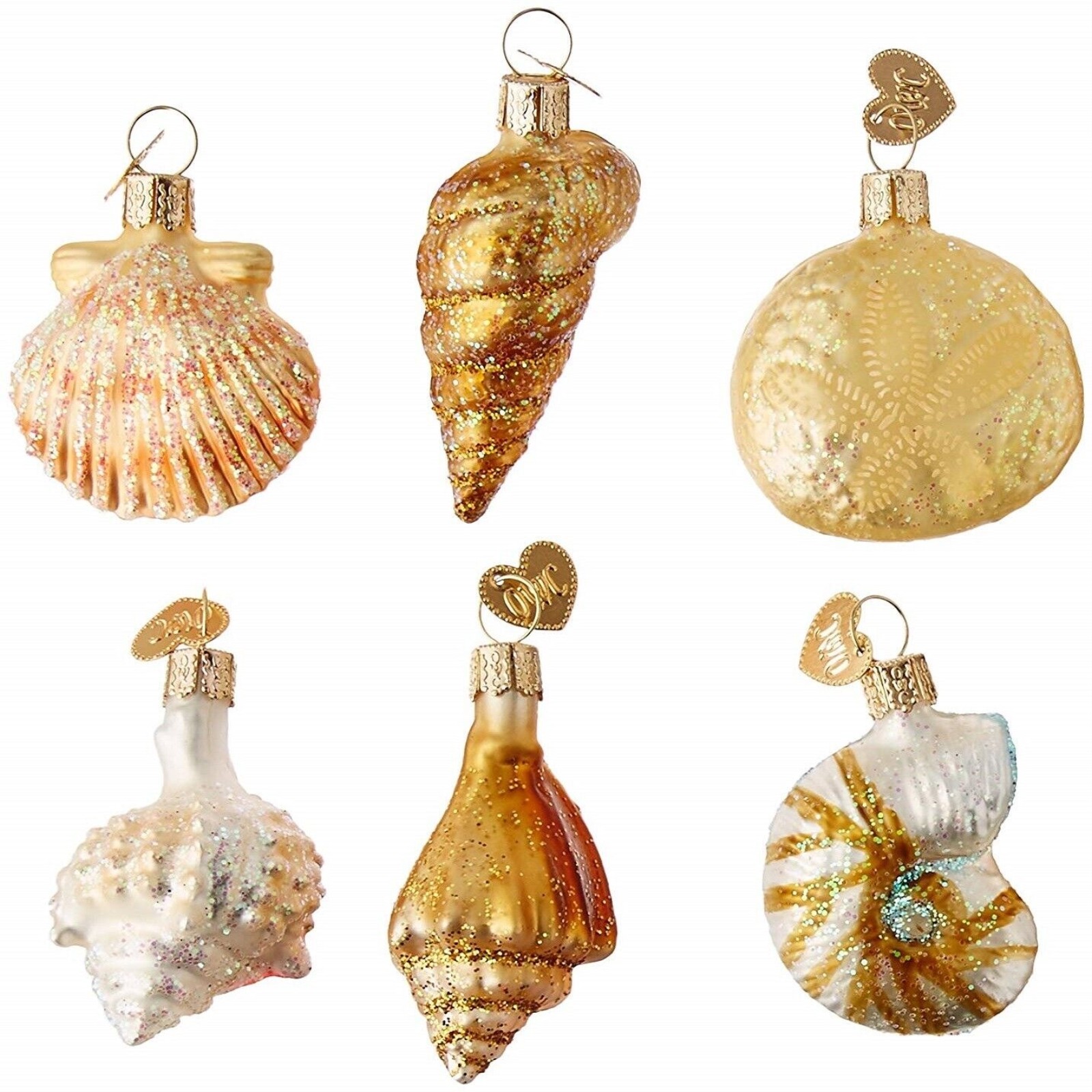 Assorted Sea Shells Old World Christmas Blown Glass Ornaments Set of 6