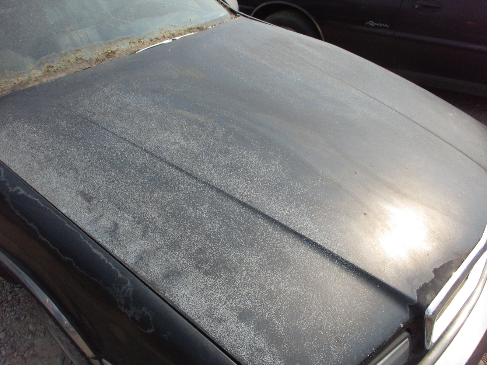 Hood  Maserati Chrysler TC 89 90 91 # #