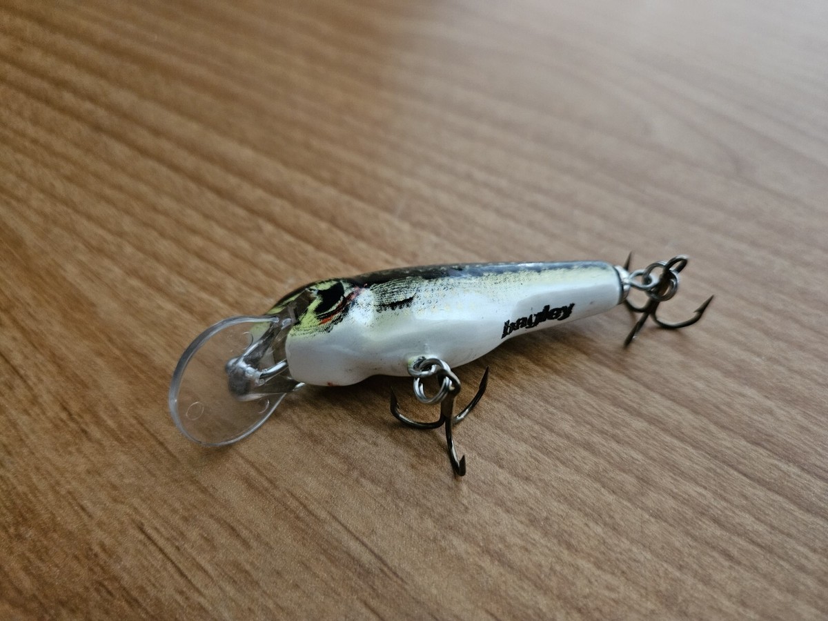 ルアー・フライ bagley Bagley's Small Fry Largemouth Bass Crankbait Fishing Lure