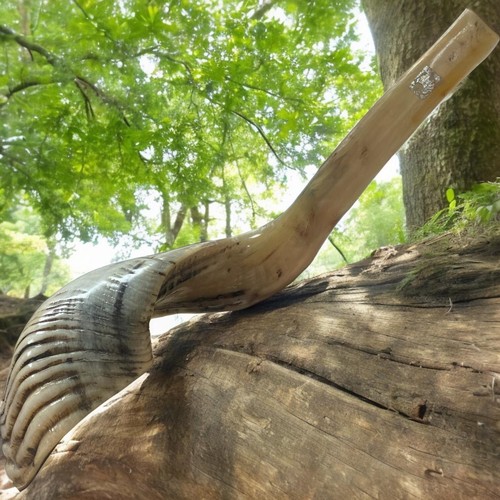 XXL Classical Ram's Ram Horn Kosher Shofar 23" 58 CM Full Natural easy to blow - Picture 23 of 24