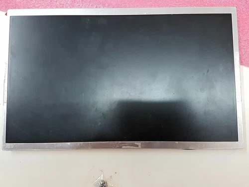 Genuine Used Dell Mini B101AW01 LCD Screen