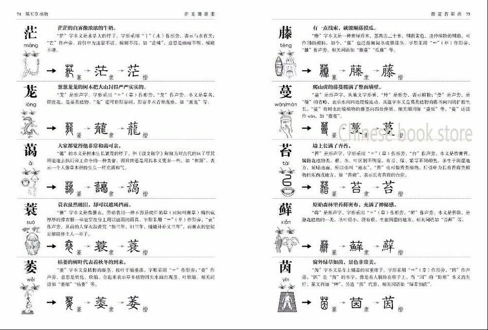 800 Chinese character picture books dictionary d learners hanzi Pinyin 1 - Image 2 of 3
