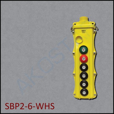 Magnetek SBP2-6-WHS Pendant 6-Button 4 Dual-Speed 2-Spd Switches w ...