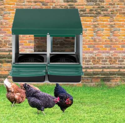 Chicken Nesting Box Hen Laying Nest Boxes 2 Hole Rollout Egg Collection Metal