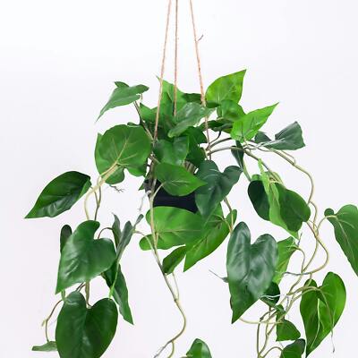 Blooming Artificial - 80cm / 2.5ft Faux Hanging Philodendron Scandens |  eBay UK