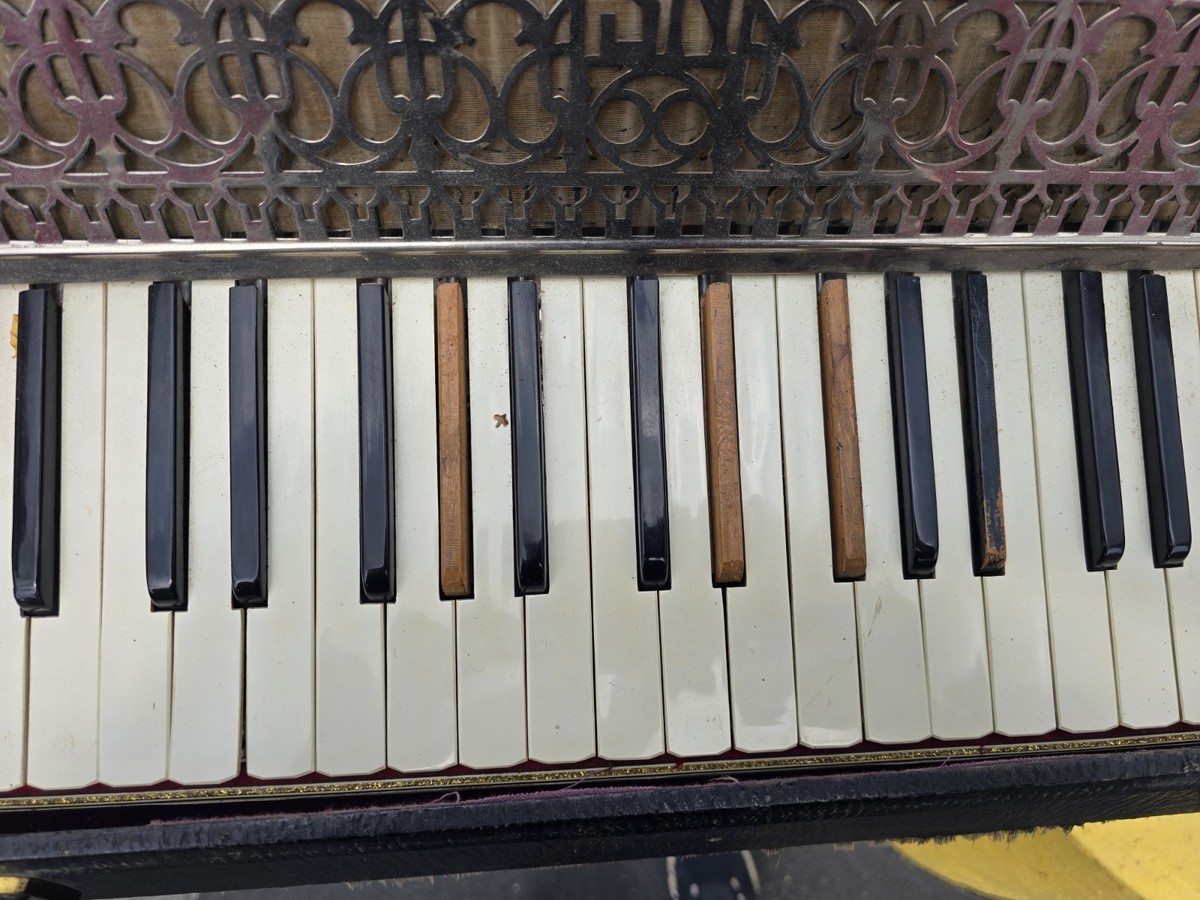 Vintage Working NICOLO SALANTI MOP Italian Accordion with Case
