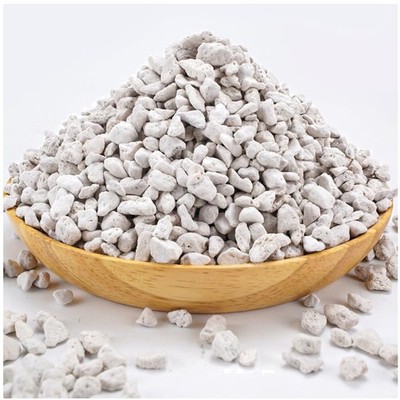 Succulent Cactus Turface Pumice Blend