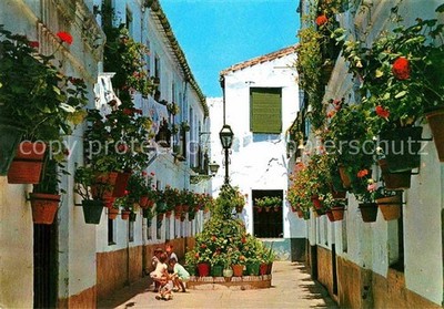Costa del Sol Calle tipica