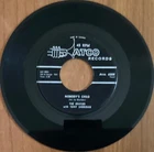 Beatles Ain’t She Sweet / Nobody’s Child 1964 Atco 6308 45rpm Canada 7” single