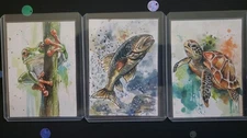 3 ACEOs OOAK Original Hand Painted Watercolors Turtle Frog Fish Signed by artist