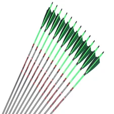 12pcs 32" Carbon Arrows SP250-600 5" Turkey Feather Traditional Compound Bow