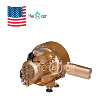 Regenerative Blower EKZ 103-36 | Pressure or Vacuum | 61 CFM |3.6 PSI | 7.4 inHg