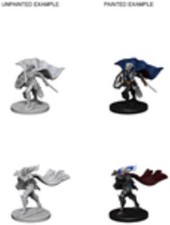 WizKids WZK72609 Elf Female Paladin