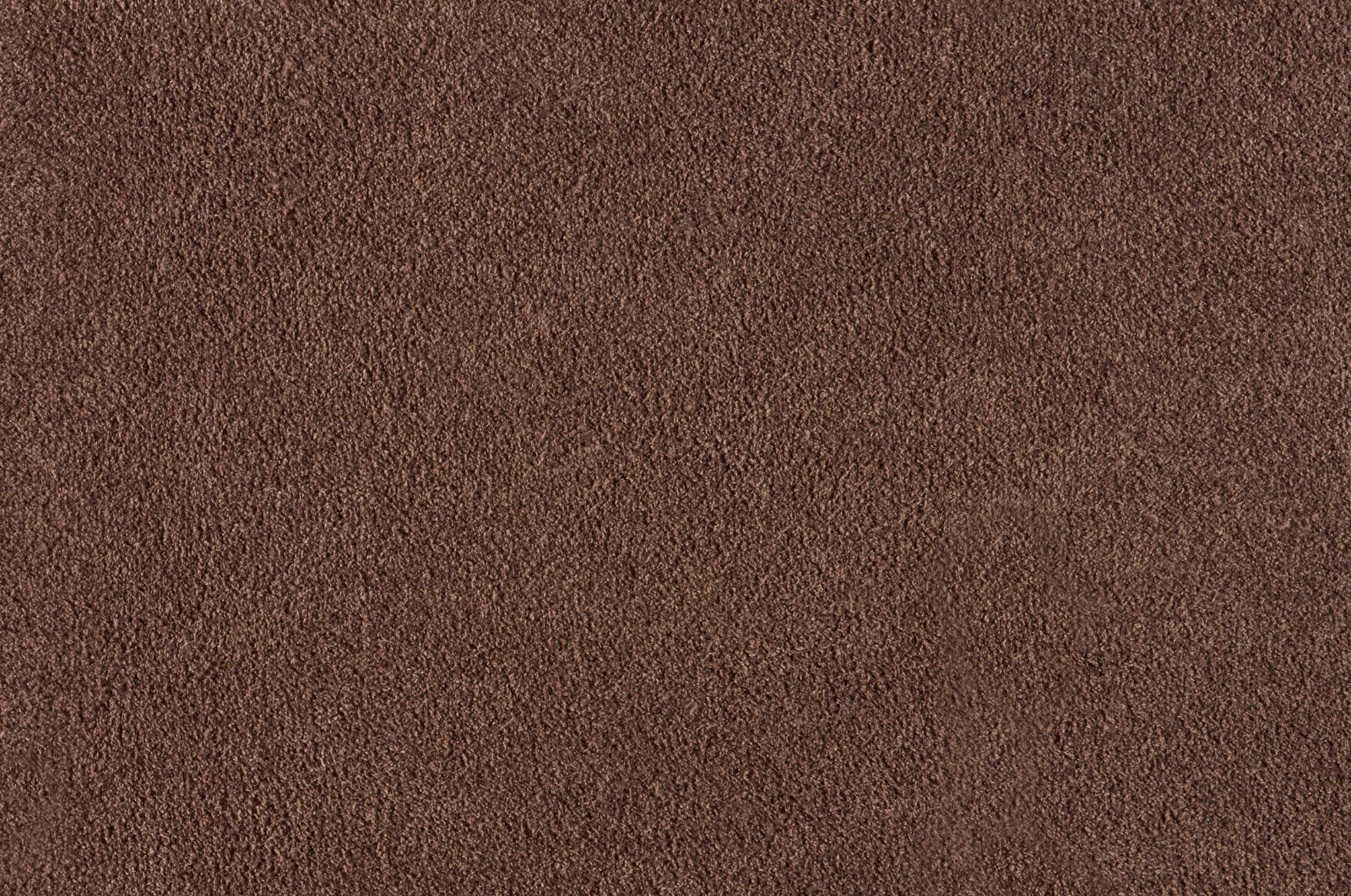 Turtle Mat - Dirt Trapper - Mocha - Multi-Grip - 50x75cm
