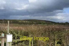 Photo 6x4 Little Goosehill Wood on the skyline Goosehill Green Difficult  c2006