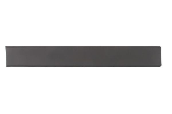 Right Front BLIC 5703-06-2092572P Trim/Protection Strip, quarter panel for FIAT