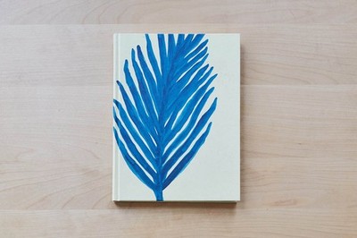 Book of illustrations Horses Are Blue by Iris de Mouy (Hardcover, 2019)