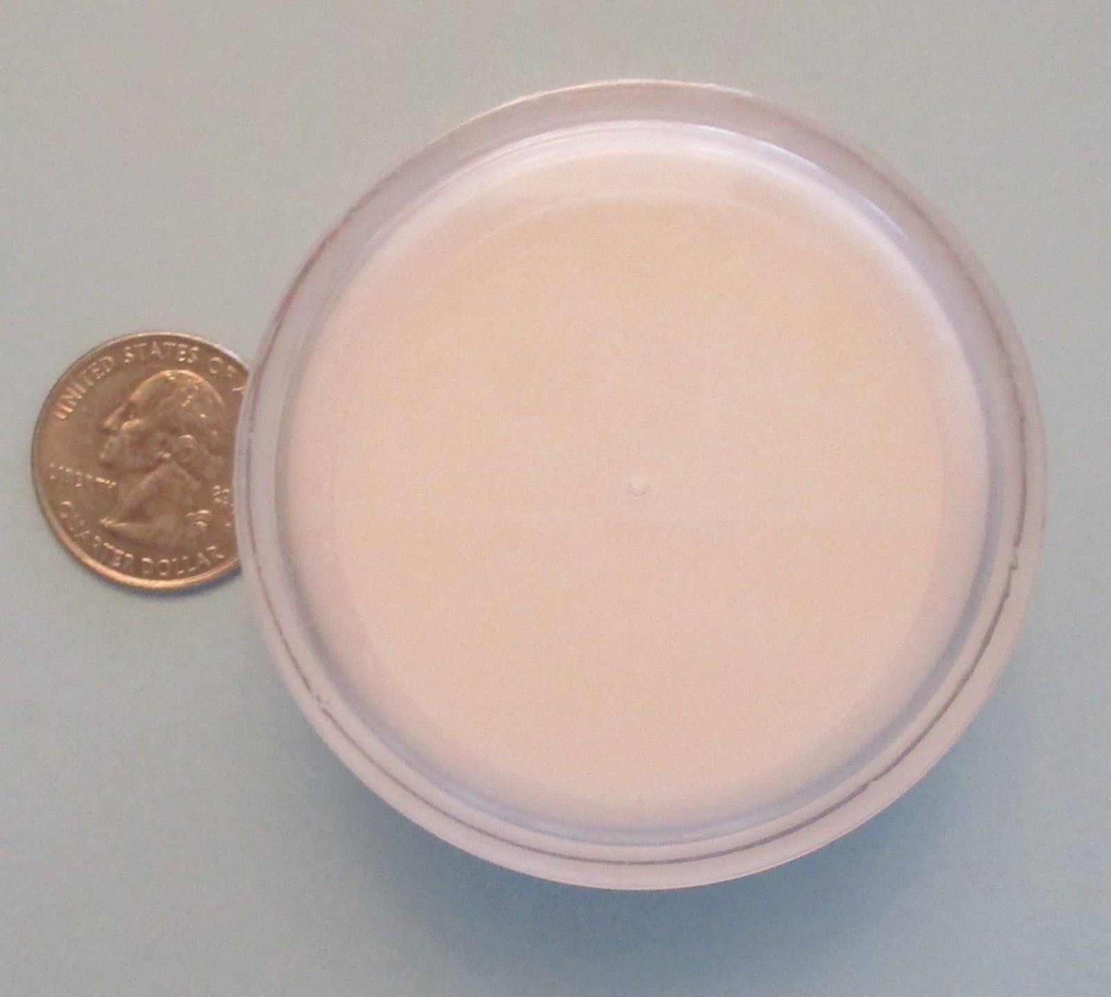 BODY FIRM Essentials Plump & Firm Facial Treatment  .5 fl oz / 15 ml Sealed