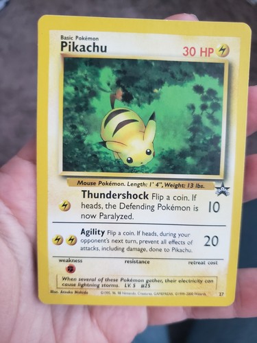 Pikachu (27)