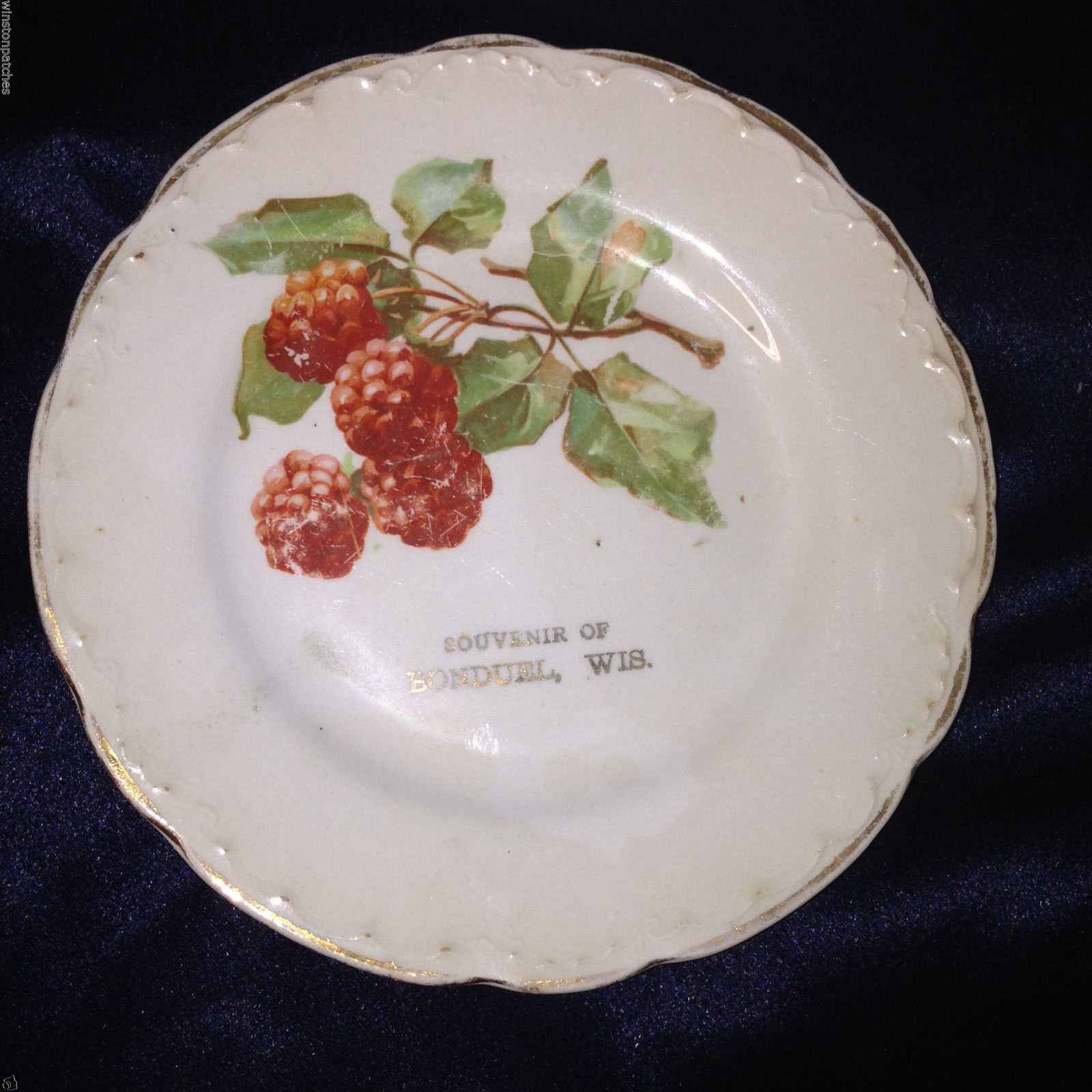 BONDUEL WISCONSIN ANTIQUE SOUVENIR 6.25" PLATE RASPBERRIES FRUIT