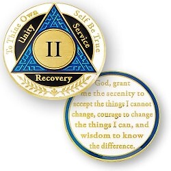AA Coin - 2 Year - Blue Black White - Picture 1 of 1