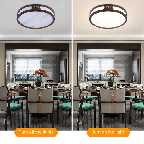 20.47" LED Deckenleuchte Wohnzimmer Flur Küchen Eingang Deckenleuchte Lampe DHL - Bild 15 von 24