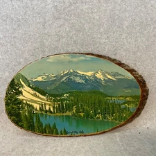 Vintage Central City Colorado Tree Slab Live Edge Decoupage Mountain Lake Scene