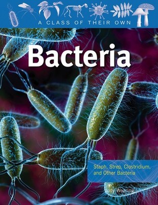 Bacteria: Staph, Strep, Clostridium, and Other Bacteria (Class of Their Own)