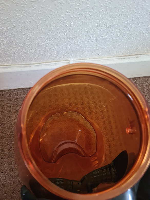 Picture 5 of 6