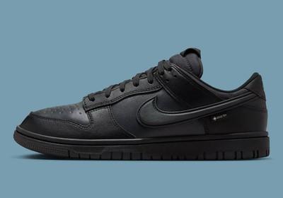 Nike Dunk Low GTX Gore-Tex Triple Black Grey Sneakers HQ2053-001 Men's Sizes NEW