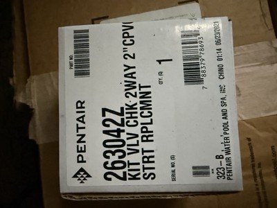 Upgraded Check Valve Rebuild Kit 263042Z Replacement Fits for Pentair 2'' CPVC US