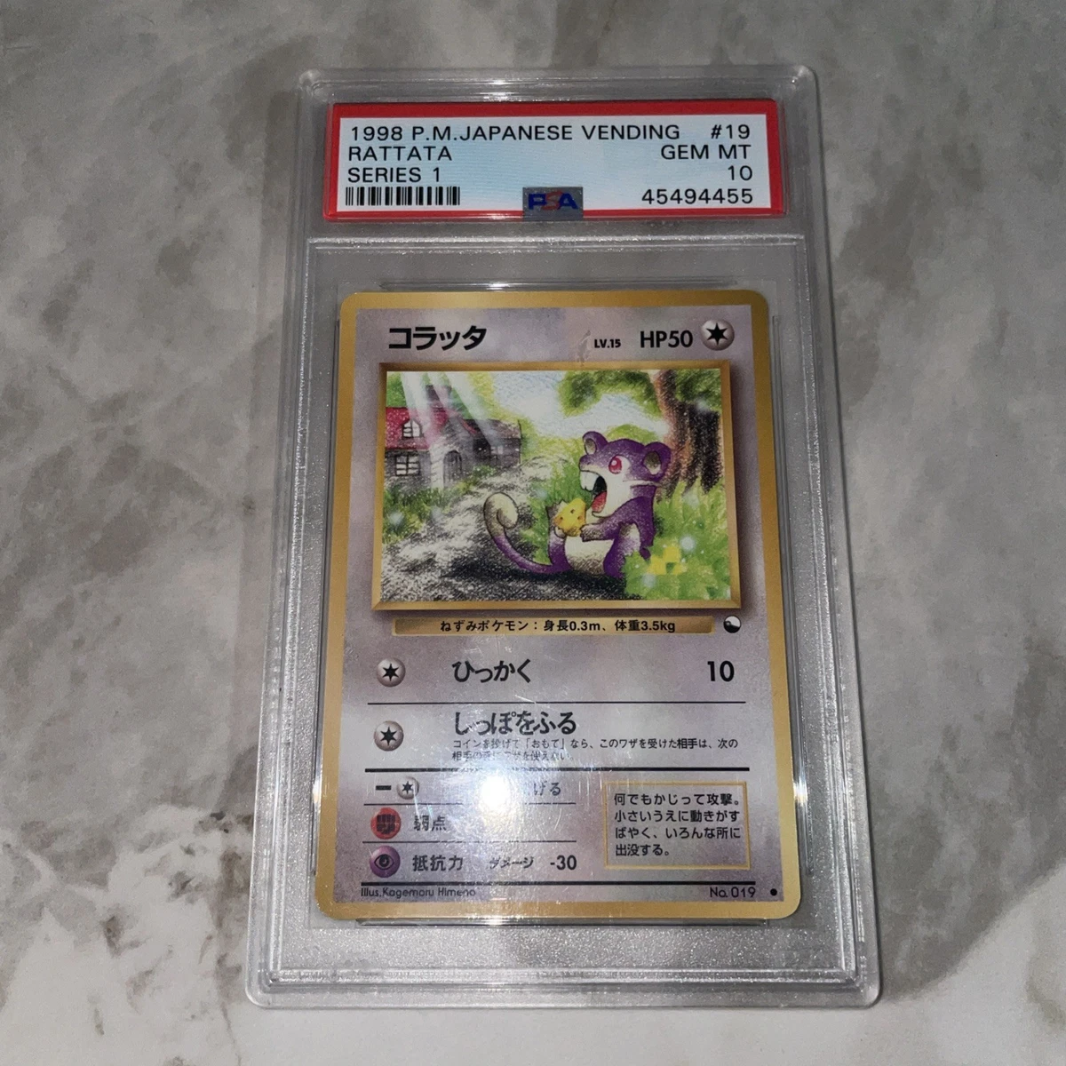 Rattata