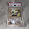 Rattata