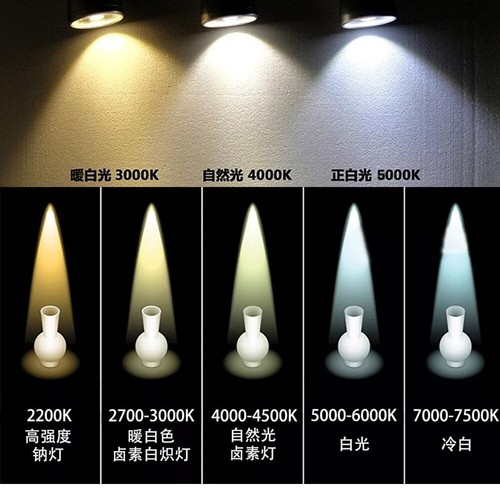 High CRI 95 RA 95-98 High Power COB LED Daylight White 5600K 27-29V 450ma 13W - Picture 5 of 10