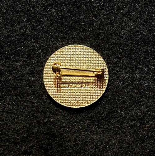 SQUAW VALLEY (Lost Name) Ski Pin CALIFORNIA Skiing Souvenir Resort Travel - Picture 3 of 3