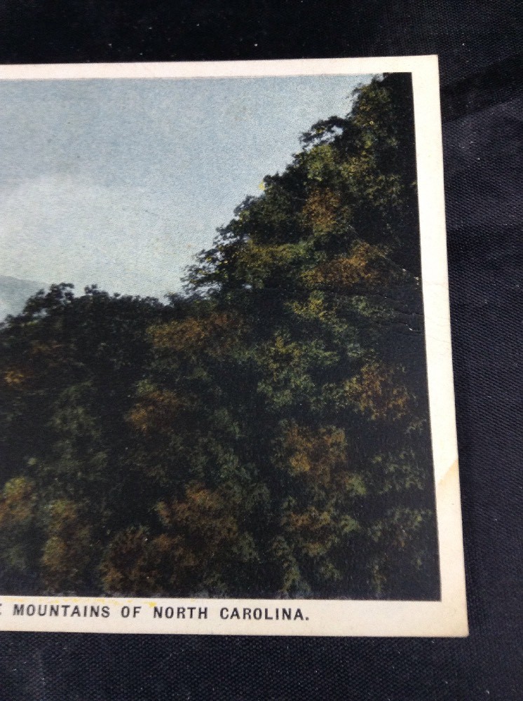 Plott Balsams North Carolina Blue Ridge Mountains Vintage Color Postcard Unpost