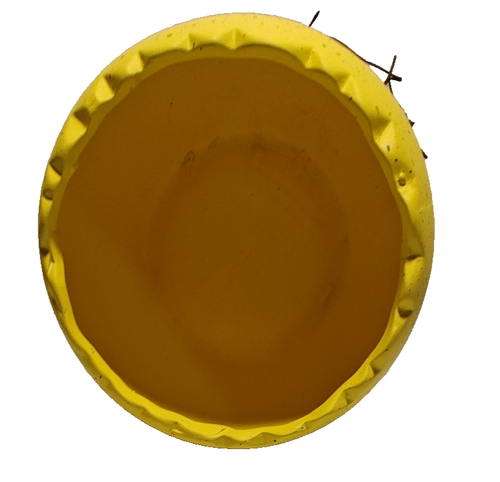 1 Set Speckled Yellow Eggshell Nest Planter Pot-Easter Planter w/Nest-Medium Egg - Picture 5 of 5