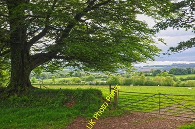 Photo A2 West Somerset : Countryside Scenery Dulverton Looking out acros c2014