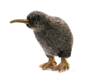 kiwi soft toy