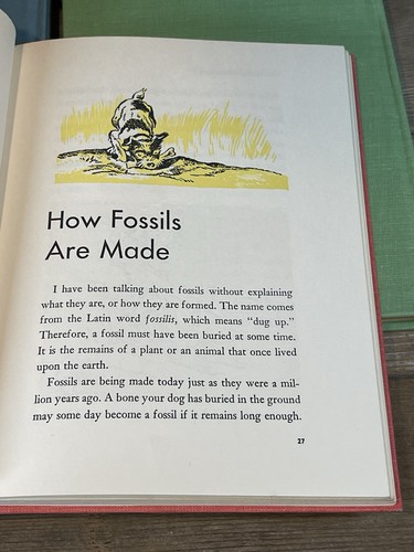 Vintage All About Books- Random House Lot 1960s Kids, Vintage Dinosaur’s, Beast - Bild 20 von 21