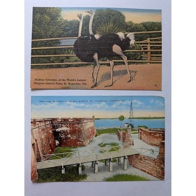 Vintage Postcard Set St Augustine Florida Ostrich Farm De Castillo De San Marcos