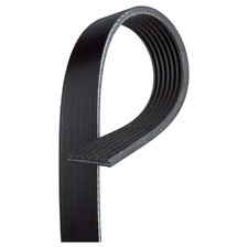 Gates Keilrippenriemen 1172001Q0A 117205123RB 117205123RD 7PK1179SF