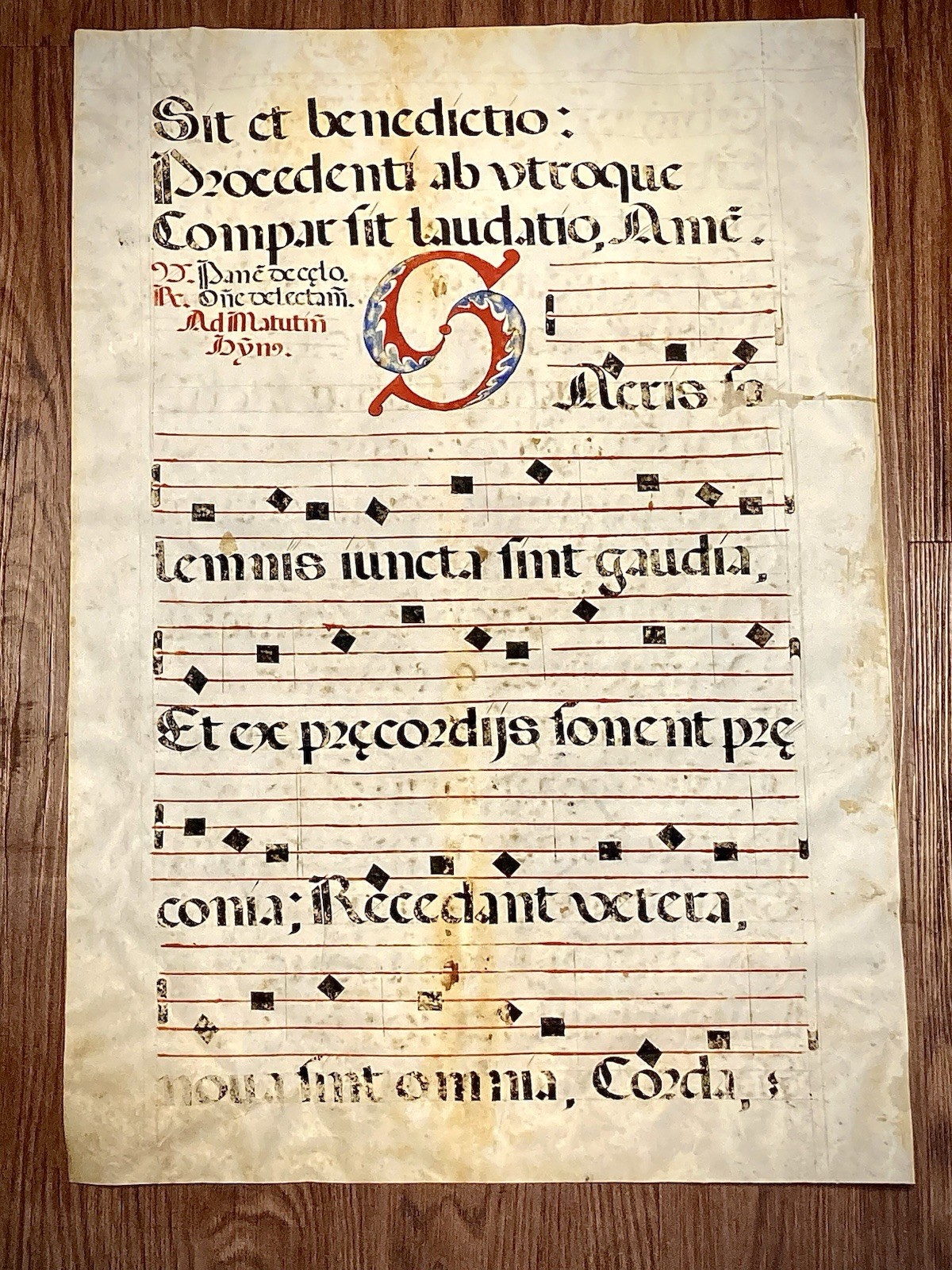 15th/17th Cent. Antiphonal Gregorian Liturgical Choirbook Leaf - 27 in x 19 in