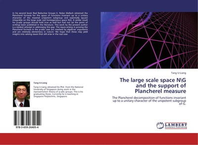 Tang U-Liang | The large scale space N G and the support of Plancherel measure