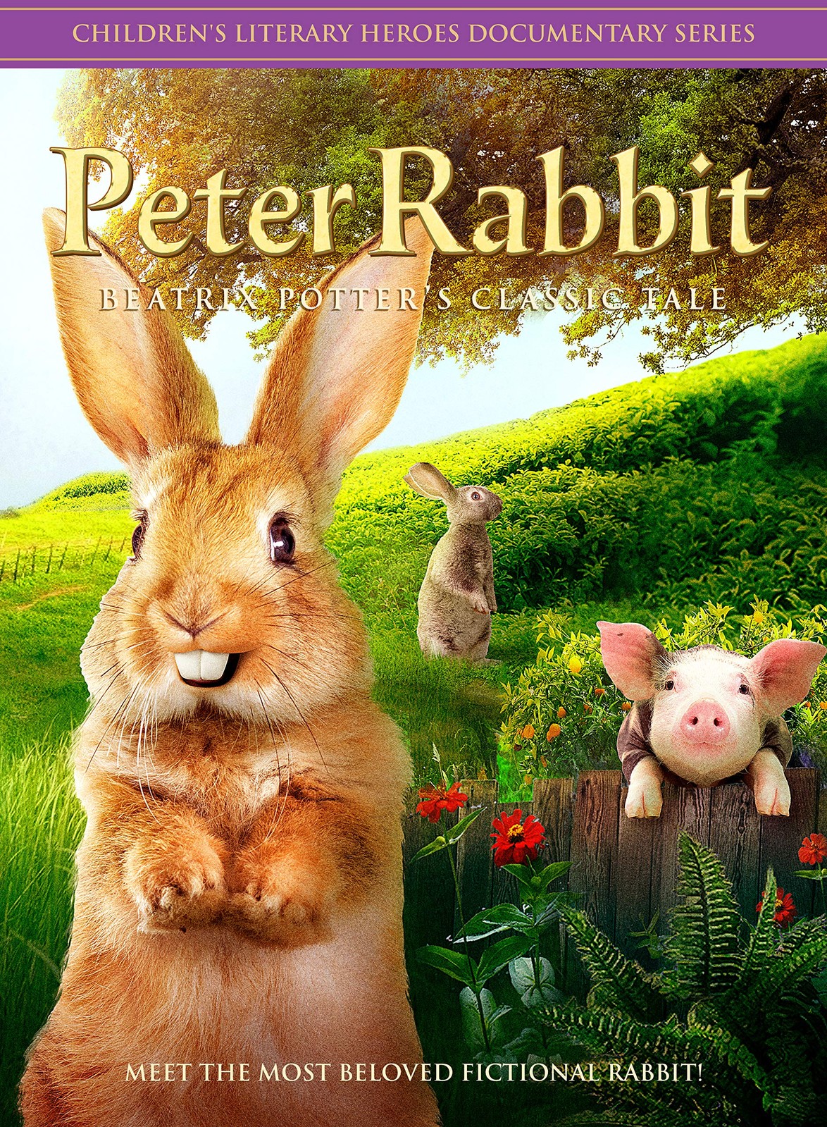 Peter Rabbit DVD featuring Katabelle – Fun Family Adventure